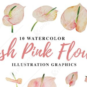 10 Watercolor Blush Pink Flowers Illustration
